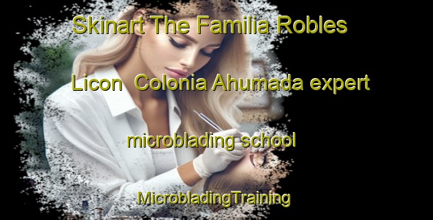 Skinart The Familia Robles Licon  Colonia Ahumada expert microblading school | #MicrobladingTraining #MicrobladingClasses #SkinartTraining-Mexico