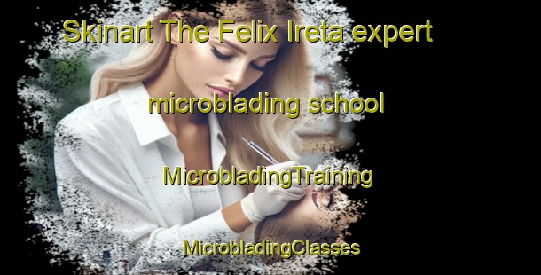 Skinart The Felix Ireta expert microblading school | #MicrobladingTraining #MicrobladingClasses #SkinartTraining-Mexico