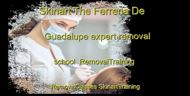 Skinart The Ferreria De Guadalupe expert removal school | #RemovalTraining #RemovalClasses #SkinartTraining-Mexico