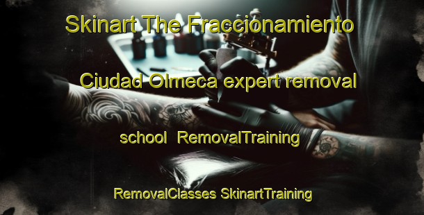 Skinart The Fraccionamiento Ciudad Olmeca expert removal school | #RemovalTraining #RemovalClasses #SkinartTraining-Mexico