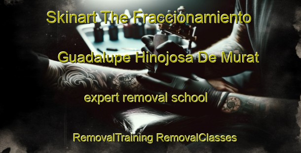 Skinart The Fraccionamiento Guadalupe Hinojosa De Murat expert removal school | #RemovalTraining #RemovalClasses #SkinartTraining-Mexico