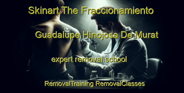 Skinart The Fraccionamiento Guadalupe Hinojosa De Murat expert removal school | #RemovalTraining #RemovalClasses #SkinartTraining-Mexico