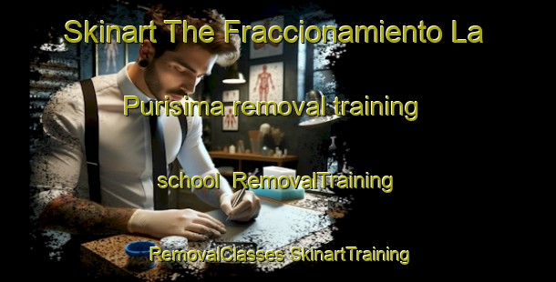 Skinart The Fraccionamiento La Purisima removal training school | #RemovalTraining #RemovalClasses #SkinartTraining-Mexico