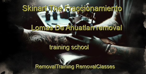 Skinart The Fraccionamiento Lomas De Ahuatlan removal training school | #RemovalTraining #RemovalClasses #SkinartTraining-Mexico