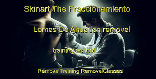 Skinart The Fraccionamiento Lomas De Ahuatlan removal training school | #RemovalTraining #RemovalClasses #SkinartTraining-Mexico