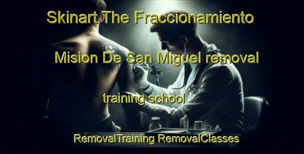 Skinart The Fraccionamiento Mision De San Miguel removal training school | #RemovalTraining #RemovalClasses #SkinartTraining-Mexico