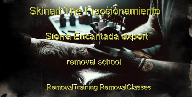 Skinart The Fraccionamiento Sierra Encantada expert removal school | #RemovalTraining #RemovalClasses #SkinartTraining-Mexico