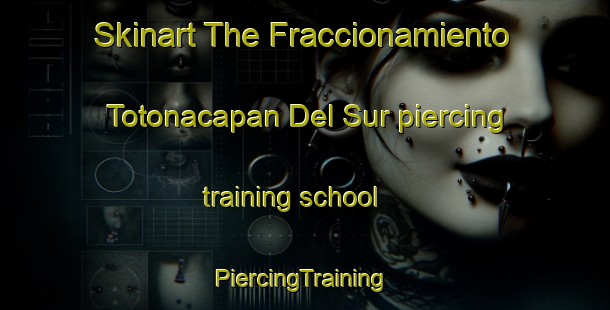 Skinart The Fraccionamiento Totonacapan Del Sur piercing training school | #PiercingTraining #PiercingClasses #SkinartTraining-Mexico