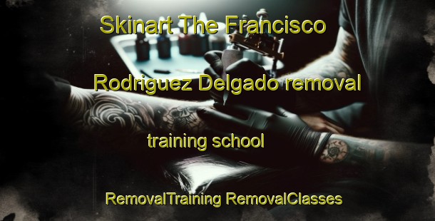 Skinart The Francisco Rodriguez Delgado removal training school | #RemovalTraining #RemovalClasses #SkinartTraining-Mexico