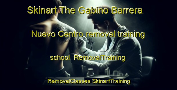 Skinart The Gabino Barrera  Nuevo Centro removal training school | #RemovalTraining #RemovalClasses #SkinartTraining-Mexico