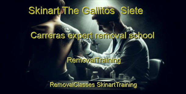 Skinart The Gallitos  Siete Carreras expert removal school | #RemovalTraining #RemovalClasses #SkinartTraining-Mexico