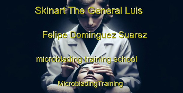 Skinart The General Luis Felipe Dominguez Suarez microblading training school | #MicrobladingTraining #MicrobladingClasses #SkinartTraining-Mexico