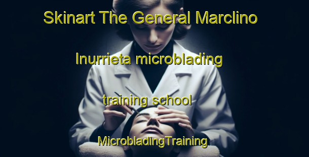 Skinart The General Marclino Inurrieta microblading training school | #MicrobladingTraining #MicrobladingClasses #SkinartTraining-Mexico