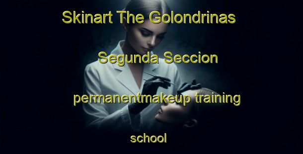 Skinart The Golondrinas Segunda Seccion permanentmakeup training school | #PermanentmakeupTraining #PermanentmakeupClasses #SkinartTraining-Mexico