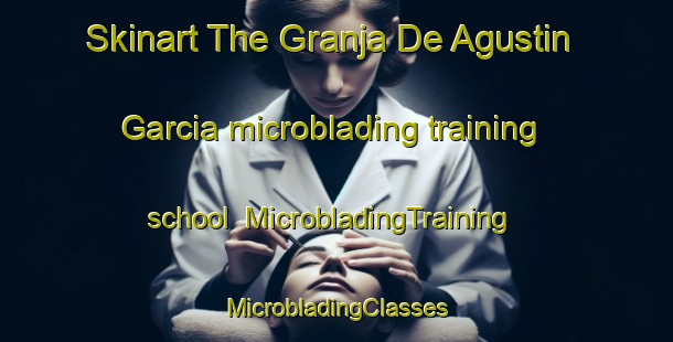 Skinart The Granja De Agustin Garcia microblading training school | #MicrobladingTraining #MicrobladingClasses #SkinartTraining-Mexico