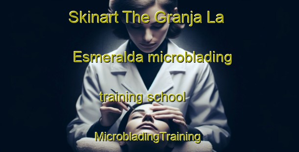 Skinart The Granja La Esmeralda microblading training school | #MicrobladingTraining #MicrobladingClasses #SkinartTraining-Mexico