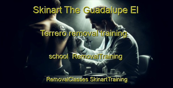 Skinart The Guadalupe El Terrero removal training school | #RemovalTraining #RemovalClasses #SkinartTraining-Mexico