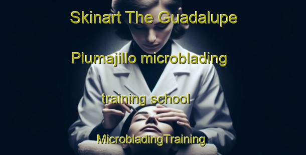 Skinart The Guadalupe Plumajillo microblading training school | #MicrobladingTraining #MicrobladingClasses #SkinartTraining-Mexico