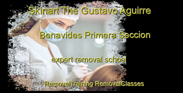 Skinart The Gustavo Aguirre Benavides Primera Seccion expert removal school | #RemovalTraining #RemovalClasses #SkinartTraining-Mexico