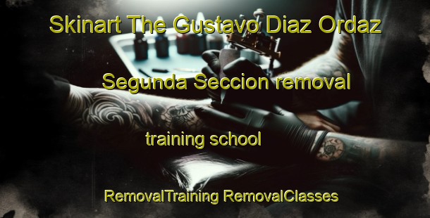 Skinart The Gustavo Diaz Ordaz Segunda Seccion removal training school | #RemovalTraining #RemovalClasses #SkinartTraining-Mexico