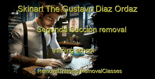 Skinart The Gustavo Diaz Ordaz Segunda Seccion removal training school | #RemovalTraining #RemovalClasses #SkinartTraining-Mexico