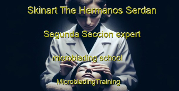 Skinart The Hermanos Serdan Segunda Seccion expert microblading school | #MicrobladingTraining #MicrobladingClasses #SkinartTraining-Mexico