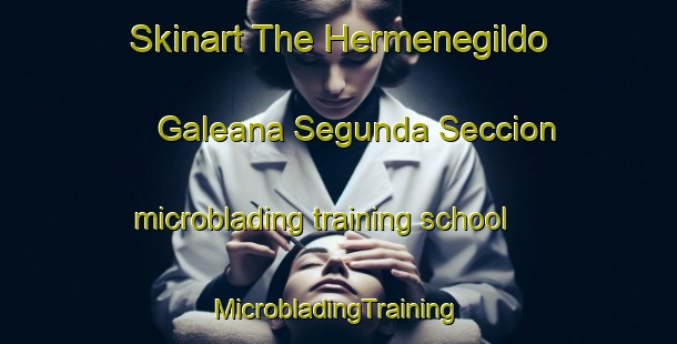 Skinart The Hermenegildo Galeana Segunda Seccion microblading training school | #MicrobladingTraining #MicrobladingClasses #SkinartTraining-Mexico