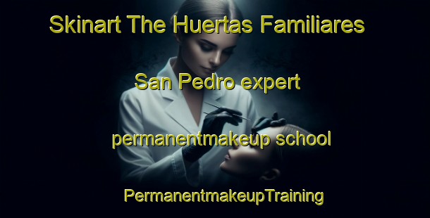 Skinart The Huertas Familiares San Pedro expert permanentmakeup school | #PermanentmakeupTraining #PermanentmakeupClasses #SkinartTraining-Mexico