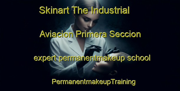 Skinart The Industrial Aviacion Primera Seccion expert permanentmakeup school | #PermanentmakeupTraining #PermanentmakeupClasses #SkinartTraining-Mexico