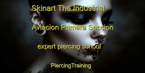 Skinart The Industrial Aviacion Primera Seccion expert piercing school | #PiercingTraining #PiercingClasses #SkinartTraining-Mexico