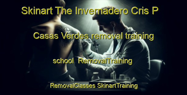 Skinart The Invernadero Cris P  Casas Verdes removal training school | #RemovalTraining #RemovalClasses #SkinartTraining-Mexico