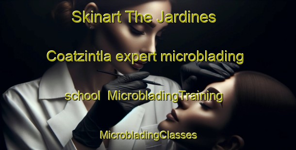 Skinart The Jardines Coatzintla expert microblading school | #MicrobladingTraining #MicrobladingClasses #SkinartTraining-Mexico