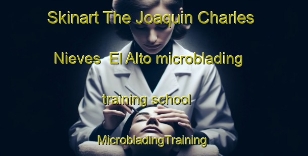 Skinart The Joaquin Charles Nieves  El Alto microblading training school | #MicrobladingTraining #MicrobladingClasses #SkinartTraining-Mexico