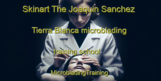 Skinart The Joaquin Sanchez  Tierra Blanca microblading training school | #MicrobladingTraining #MicrobladingClasses #SkinartTraining-Mexico