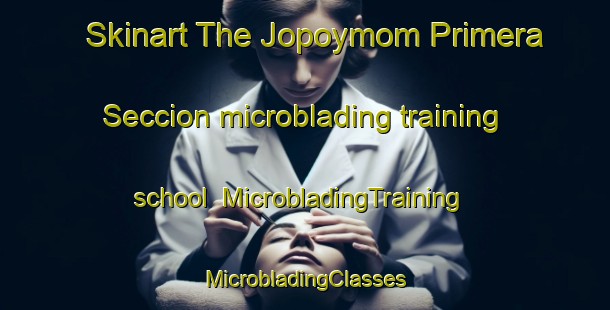 Skinart The Jopoymom Primera Seccion microblading training school | #MicrobladingTraining #MicrobladingClasses #SkinartTraining-Mexico