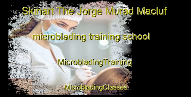 Skinart The Jorge Murad Macluf microblading training school | #MicrobladingTraining #MicrobladingClasses #SkinartTraining-Mexico