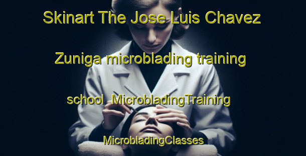 Skinart The Jose Luis Chavez Zuniga microblading training school | #MicrobladingTraining #MicrobladingClasses #SkinartTraining-Mexico