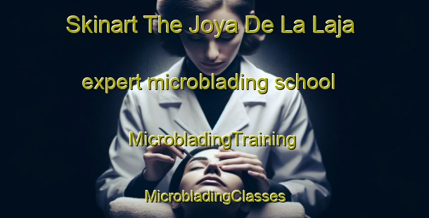 Skinart The Joya De La Laja expert microblading school | #MicrobladingTraining #MicrobladingClasses #SkinartTraining-Mexico