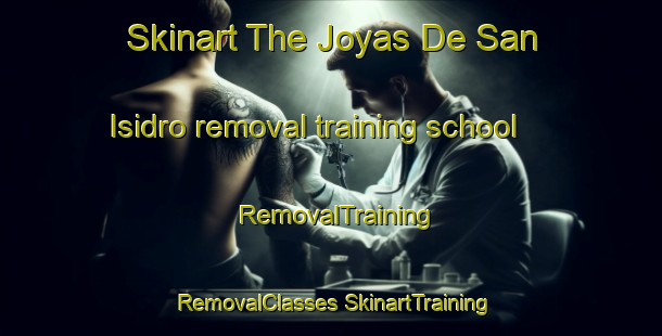 Skinart The Joyas De San Isidro removal training school | #RemovalTraining #RemovalClasses #SkinartTraining-Mexico