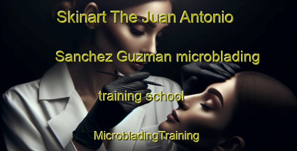 Skinart The Juan Antonio Sanchez Guzman microblading training school | #MicrobladingTraining #MicrobladingClasses #SkinartTraining-Mexico