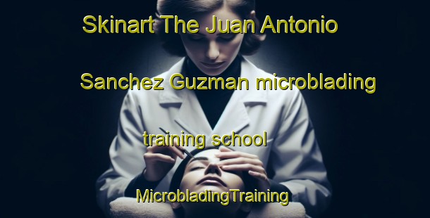 Skinart The Juan Antonio Sanchez Guzman microblading training school | #MicrobladingTraining #MicrobladingClasses #SkinartTraining-Mexico