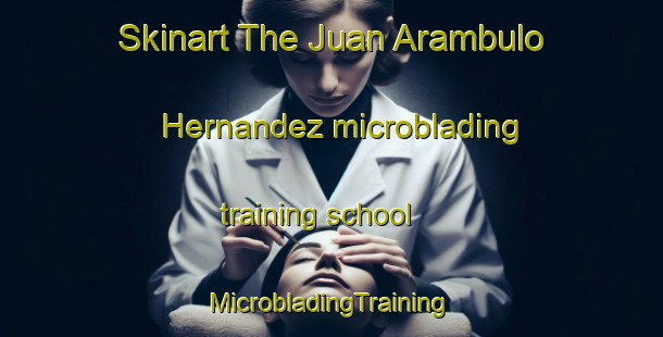 Skinart The Juan Arambulo Hernandez microblading training school | #MicrobladingTraining #MicrobladingClasses #SkinartTraining-Mexico