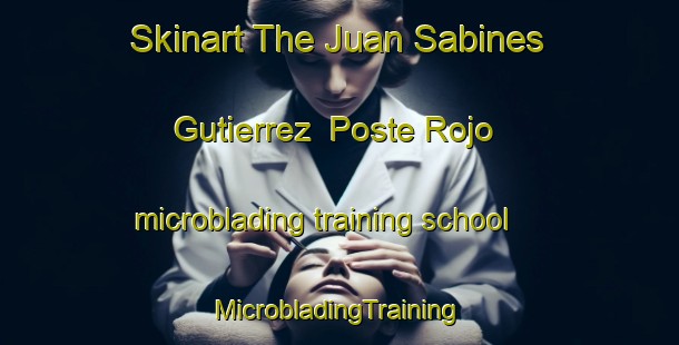 Skinart The Juan Sabines Gutierrez  Poste Rojo microblading training school | #MicrobladingTraining #MicrobladingClasses #SkinartTraining-Mexico