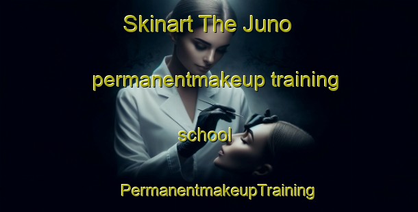 Skinart The Juno permanentmakeup training school | #PermanentmakeupTraining #PermanentmakeupClasses #SkinartTraining-Mexico