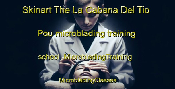 Skinart The La Cabana Del Tio Pou microblading training school | #MicrobladingTraining #MicrobladingClasses #SkinartTraining-Mexico