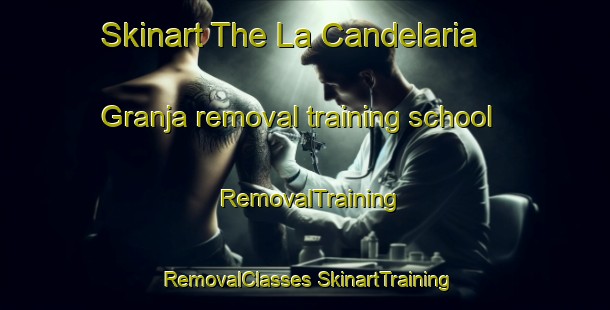 Skinart The La Candelaria  Granja removal training school | #RemovalTraining #RemovalClasses #SkinartTraining-Mexico