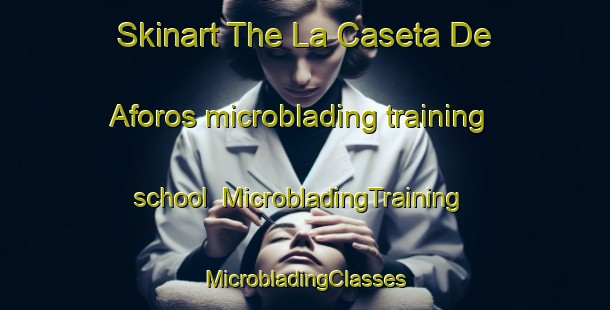 Skinart The La Caseta De Aforos microblading training school | #MicrobladingTraining #MicrobladingClasses #SkinartTraining-Mexico