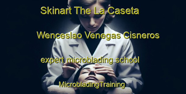 Skinart The La Caseta  Wenceslao Venegas Cisneros expert microblading school | #MicrobladingTraining #MicrobladingClasses #SkinartTraining-Mexico