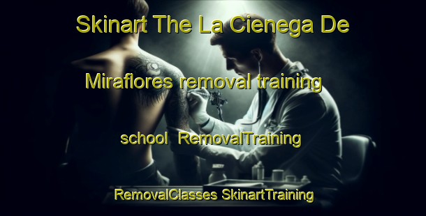 Skinart The La Cienega De Miraflores removal training school | #RemovalTraining #RemovalClasses #SkinartTraining-Mexico