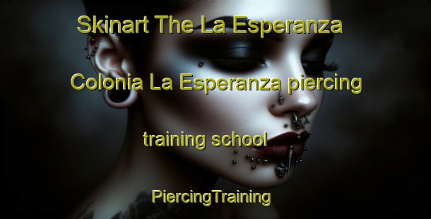 Skinart The La Esperanza  Colonia La Esperanza piercing training school | #PiercingTraining #PiercingClasses #SkinartTraining-Mexico